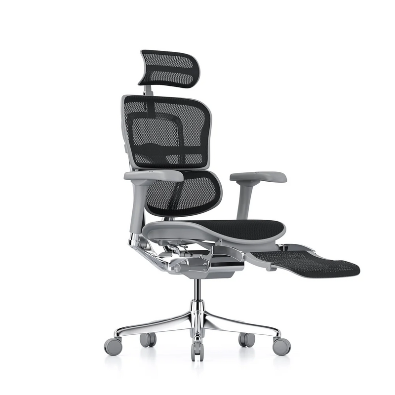 ERGOHUMAN Elite 2.0 Mesh Ergonomic Office Computer Chair