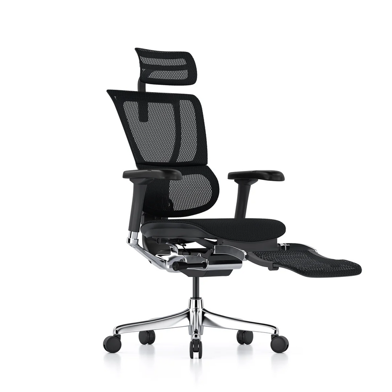 ERGOHUMAN IOO Elite 2.0 Ergonomic Office Computer Chair 