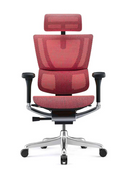 Ergohuman IOO Elite 2.0 精英版 人體工學辦公電腦椅