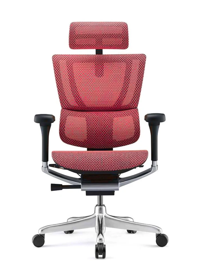 ERGOHUMAN IOO Elite 2.0 Ergonomic Office Computer Chair 