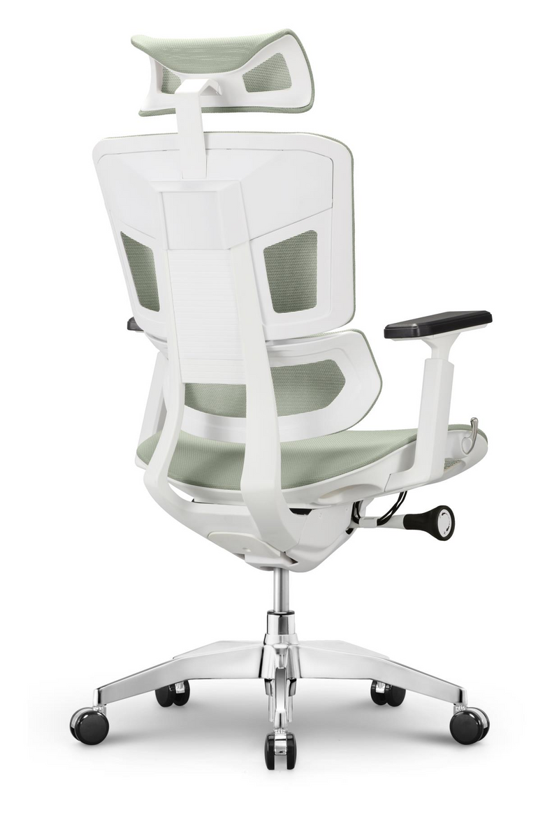 EMONE Basic Korean Wintex Mesh Ergonomic Office Computer Chair