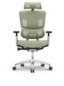 EMONE Luxury 豪華版 人體工學辦公電腦椅