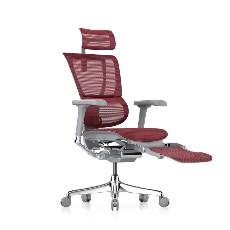 ERGOHUMAN IOO Elite 2.0 Ergonomic Office Computer Chair 