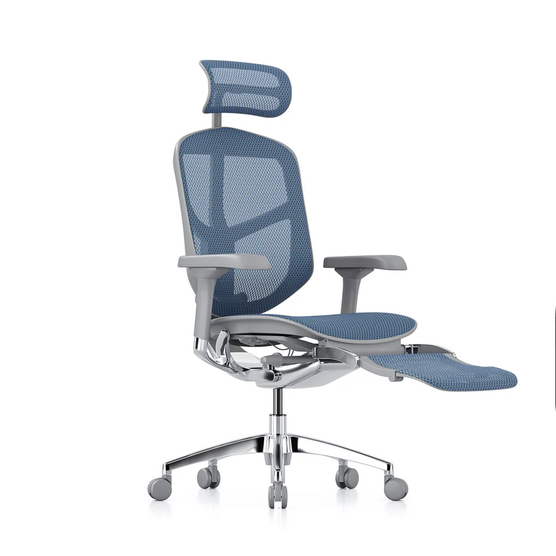 ERGOHUMAN ENJOY Elite 2.0 Mesh Ergonomic Office Computer Chair