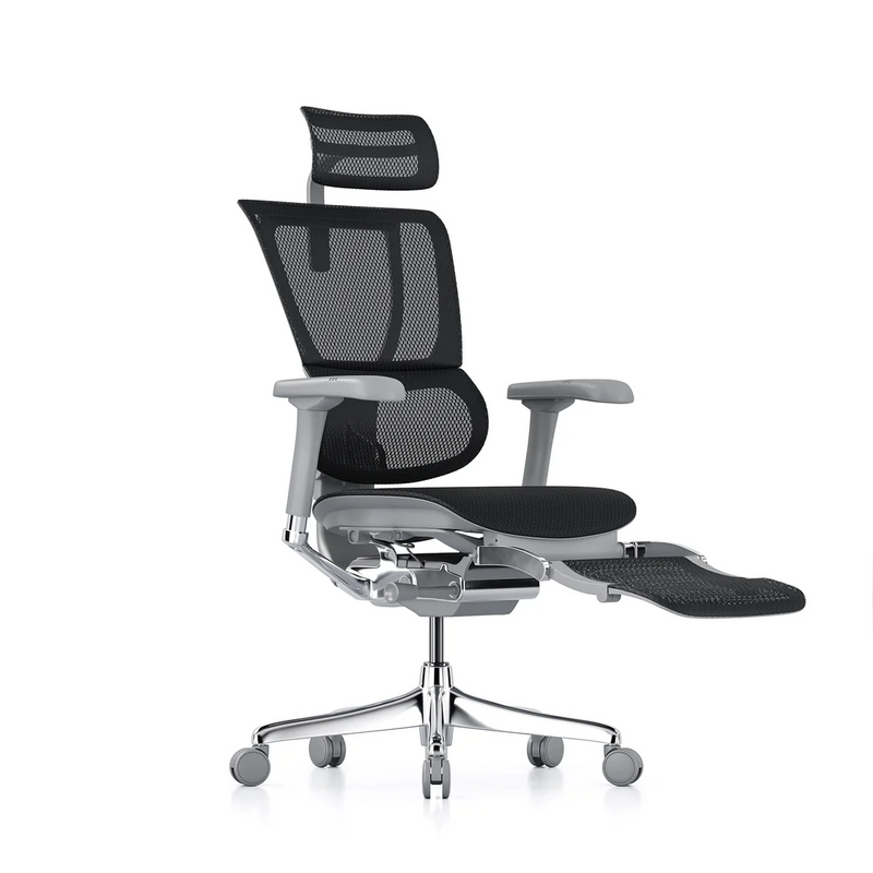 ERGOHUMAN IOO Elite 2.0 Ergonomic Office Computer Chair 