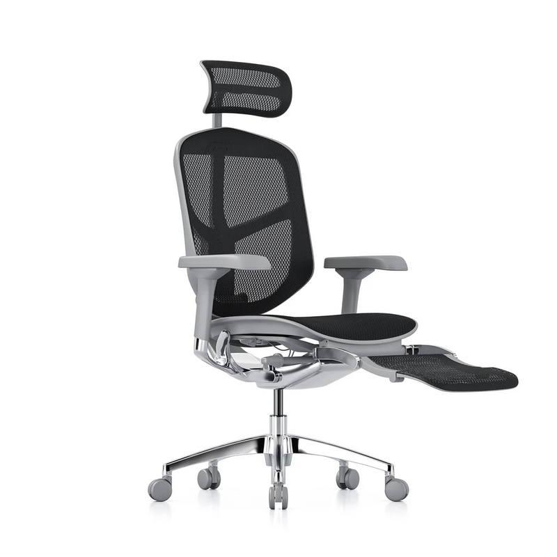 ERGOHUMAN ENJOY Elite 2.0 Mesh Ergonomic Office Computer Chair