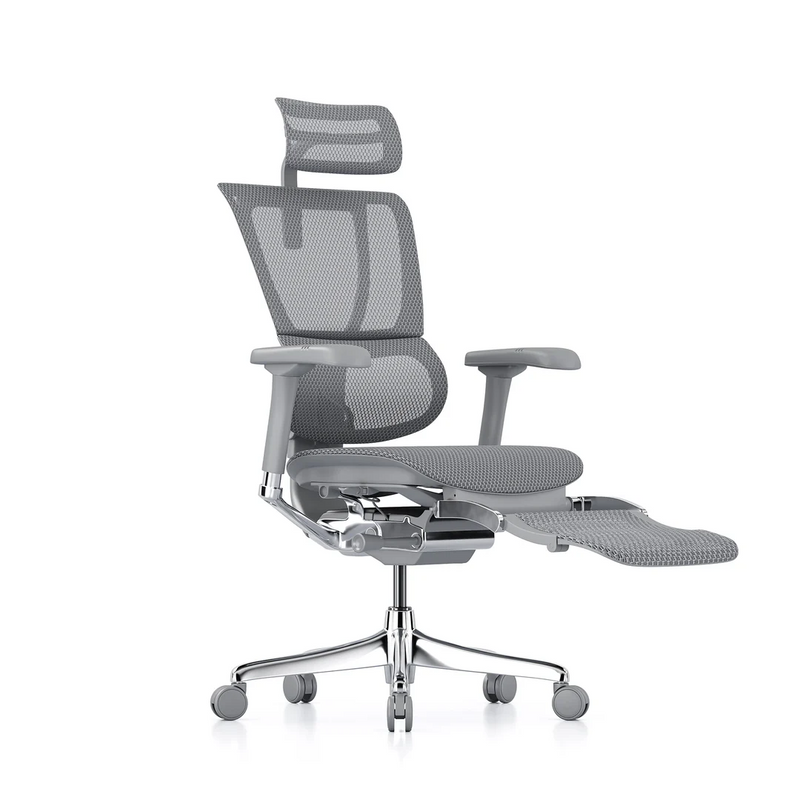 ERGOHUMAN IOO Elite 2.0 Ergonomic Office Computer Chair 