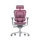 Ergohuman Elite 2.0 精英版 網布人體工學辦公電腦椅