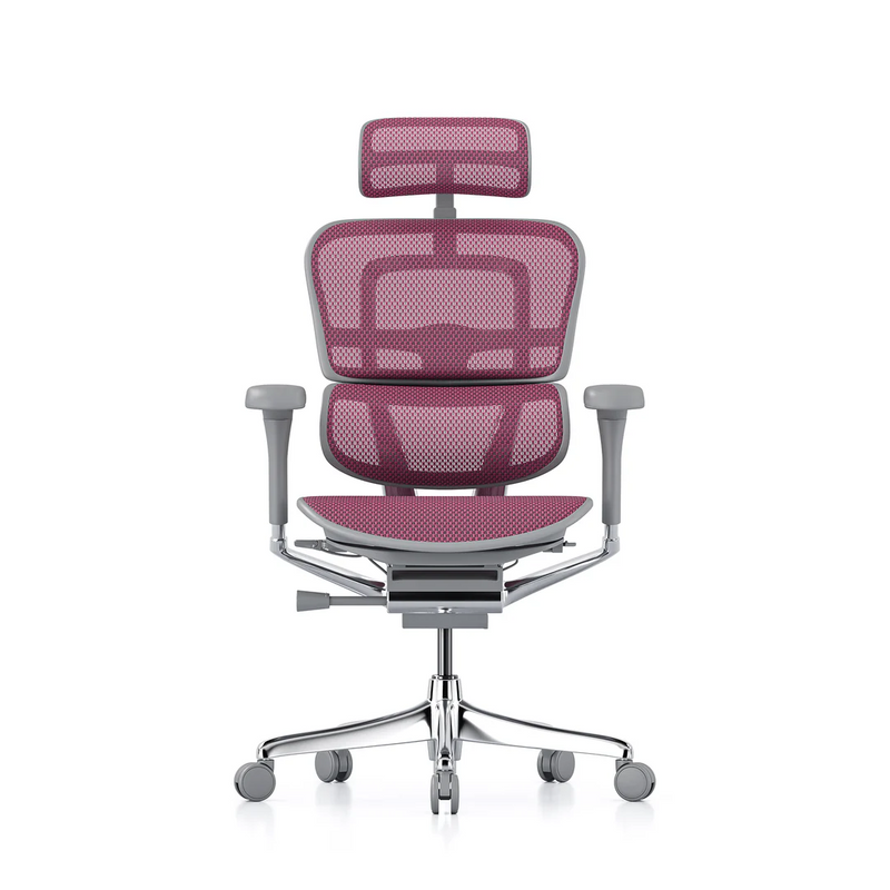 ERGOHUMAN Elite 2.0 Mesh Ergonomic Office Computer Chair