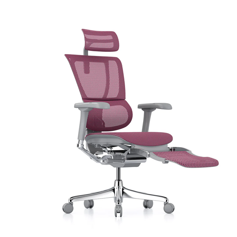 ERGOHUMAN IOO Elite 2.0 Ergonomic Office Computer Chair 