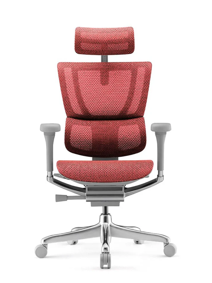 ERGOHUMAN IOO Elite 2.0 Ergonomic Office Computer Chair 