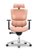 EMONE Basic 基本版 人體工學辦公電腦椅