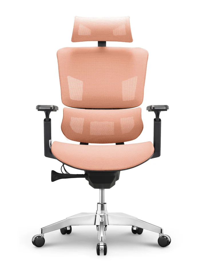 EMONE Basic Korean Wintex Mesh Ergonomic Office Computer Chair