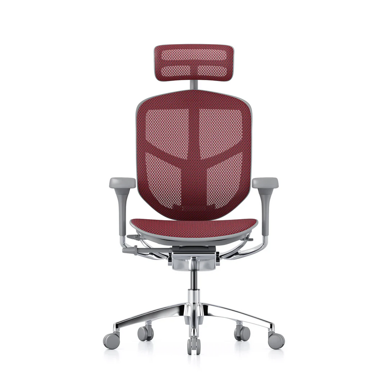 ERGOHUMAN ENJOY Elite 2.0 Mesh Ergonomic Office Computer Chair