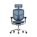 Ergohuman Enjoy Elite 2.0 精英版 網布人體工學辦公電腦椅