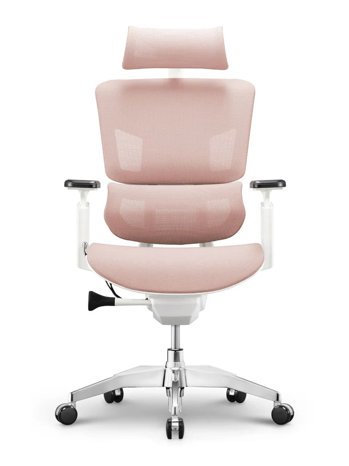 EMONE Basic Korean Wintex Mesh Ergonomic Office Computer Chair