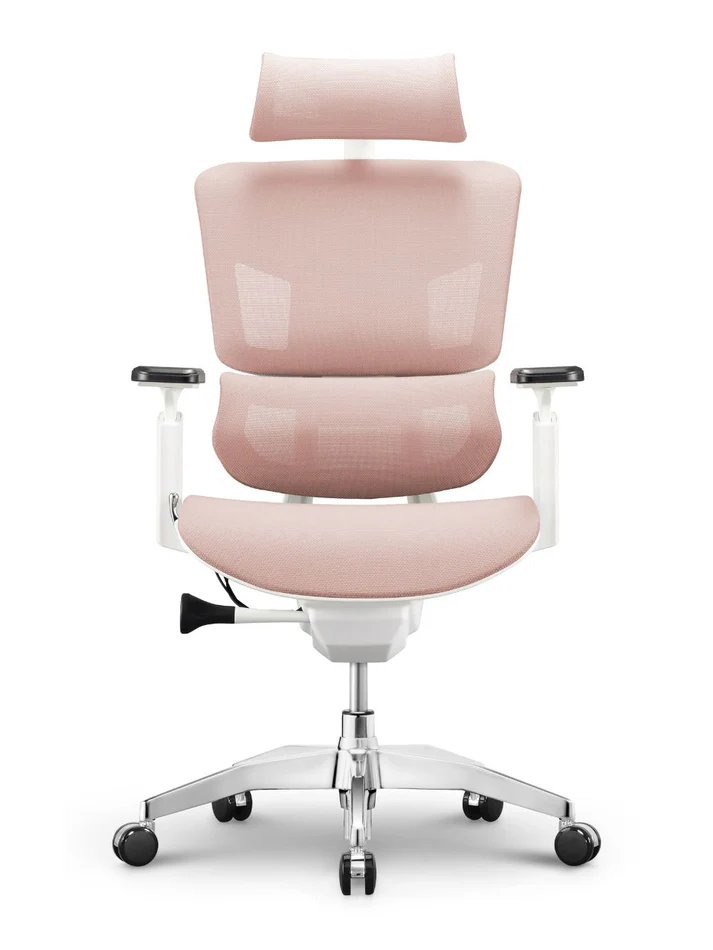 Wintex Basic Software EMONE Basic Korean Wintex Mesh Ergonomic Office Computer Chair