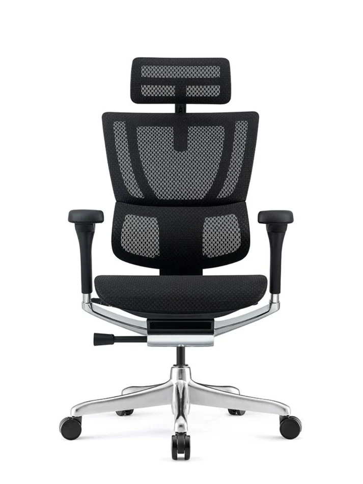 ERGOHUMAN IOO Elite 2.0 Ergonomic Office Computer Chair 