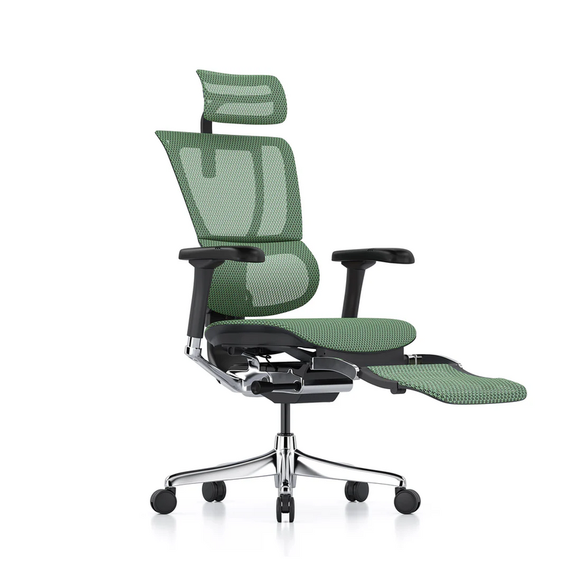 ERGOHUMAN IOO Elite 2.0 Ergonomic Office Computer Chair 