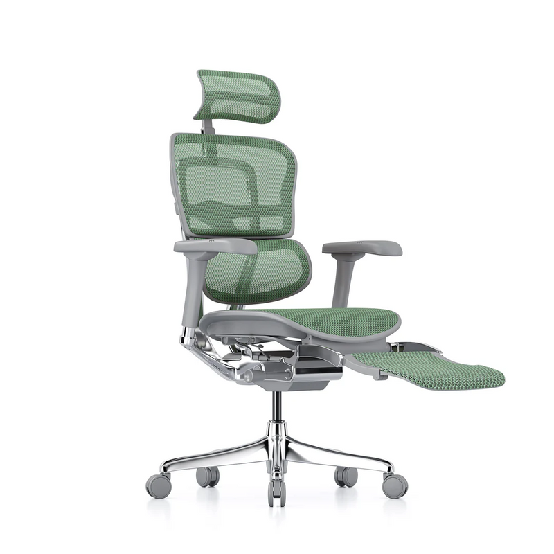 ERGOHUMAN Elite 2.0 Mesh Ergonomic Office Computer Chair