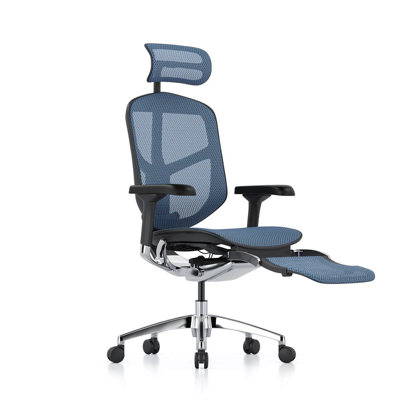 ERGOHUMAN ENJOY Elite 2.0 Mesh Ergonomic Office Computer Chair