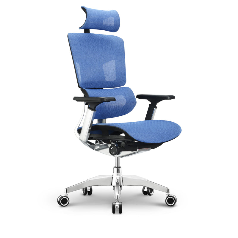 EMONE Luxury 豪華版 人體工學辦公電腦椅