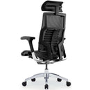 ERGOHUMAN Pofit 2.0 網布人體工學辦公電腦椅 - Spazio Plus 多維家居