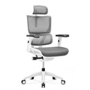 VISION V30 人體工學辦公電腦椅 - Spazio Plus 多維家居