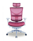 RIOLI-GJ R40 韓國Wintext網布人體工學辦公電腦椅 - Spazio Plus 多維家居